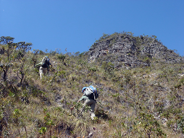 Montanhismo no Cerrado da Chapada dos Veadeiros. Foto: Aldem Bourscheit