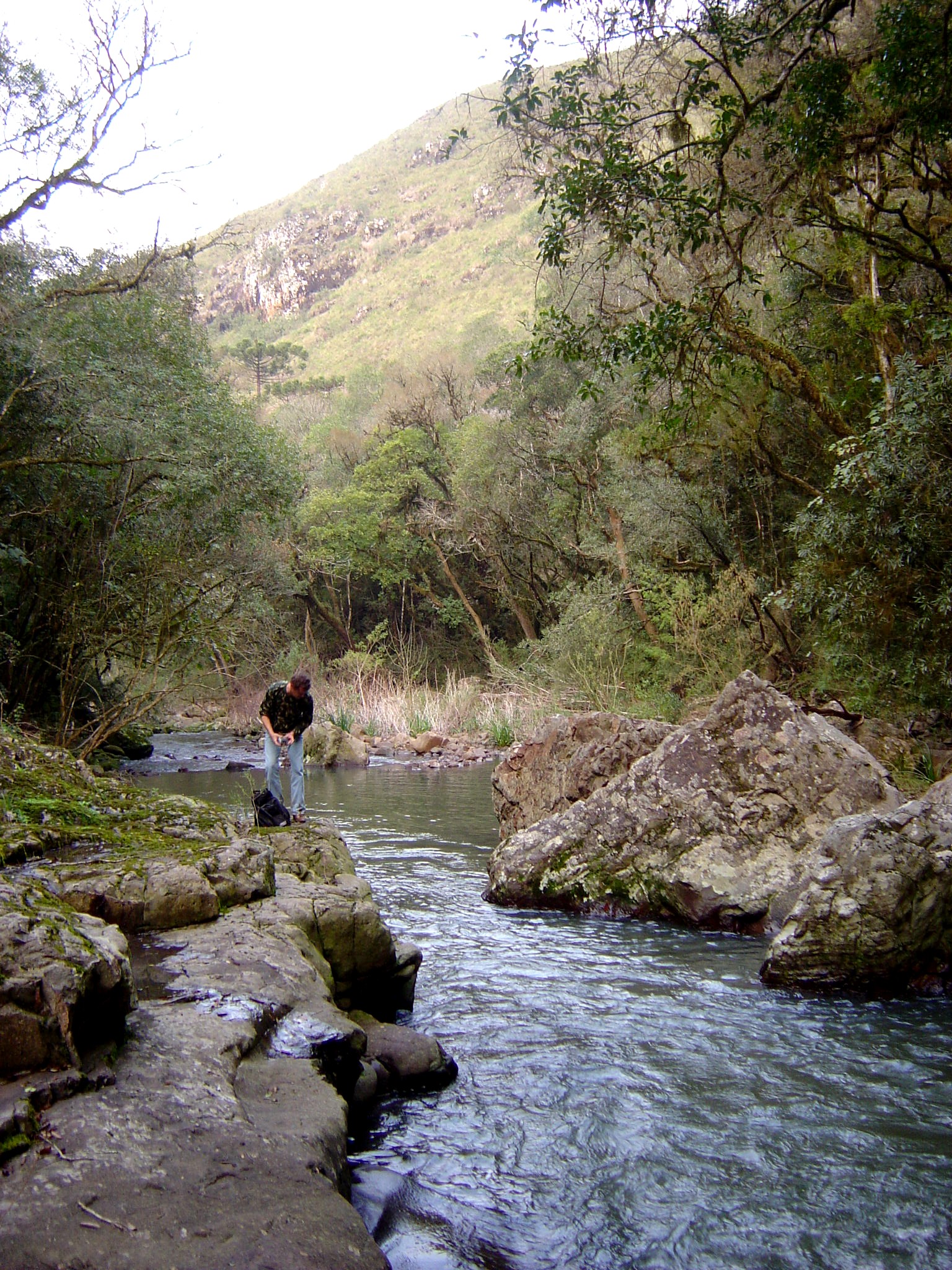Arroio afluente do rio Pelotas. Crédito Paulo Brack