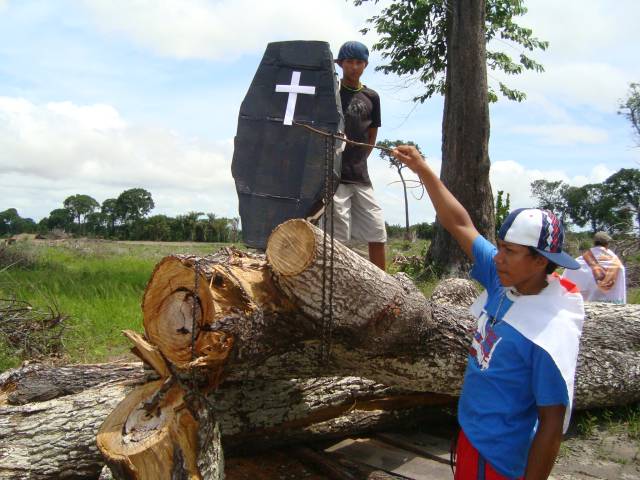 Moradores que dependiam da coleta de castanha protestam contra derrubada de árvores (foto Vandre Fonseca)