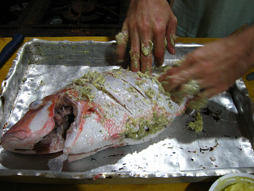 Dentão e outros peixes da família do lutjanidae são tradicionais na mesa dos consumidores do litoral nordestino. Foto: Erico G de Carvalho