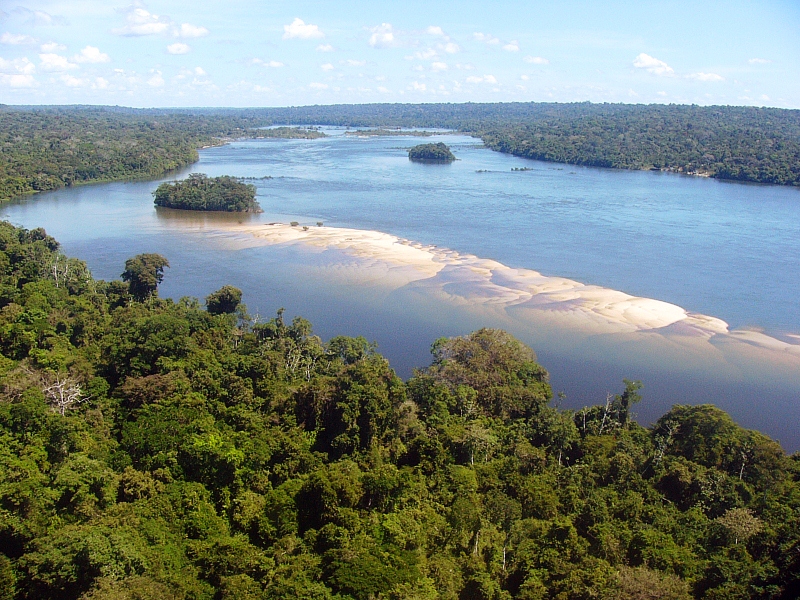Parque Estadual do Sucunduri, no Amazonas. Foto: WWF
