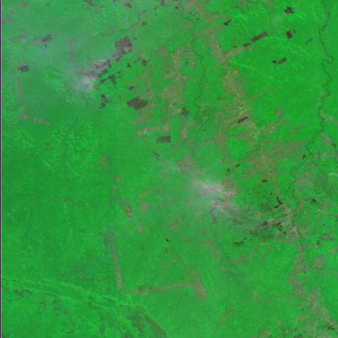 Imagem de satélite Landsat mostra desmatamento dentro de FLONA Jamanxin (crédito: INPE)