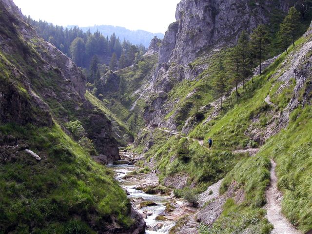 Vale e trilha na região de Eisenwurzen (Áustria). Foto: Roman Klementschitz