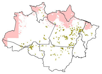 Pontos amarelos mostram os locais com alerta de desmatamento (fonte: INPE)