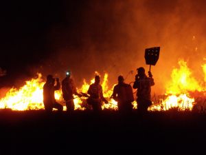 Brigadistas combatem fogo no Parque Nacional da Serra do Cipó. Foto: Divulgação/ICMBio.