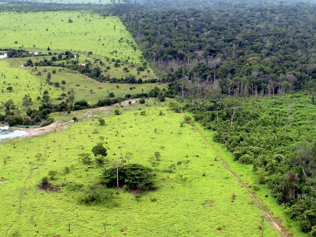 Justiça quer conter desmate nos assentamentos, responsável por 29,4 % do total do desmatamento na Amazônia. Foto: Jefferson Rudy/MMA