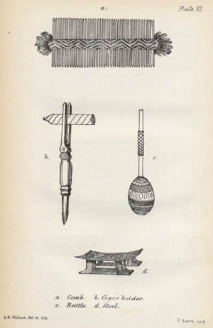 Ilustrações produzidas por Alfred Wallace durante a viagem pela Amazônia, no século XIX. (Fonte: Reprodução)