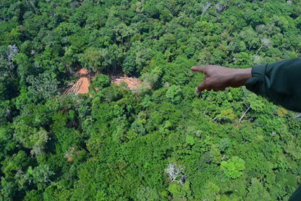 O Fiel aponta esplanada onde agentes por terra encontraram maquinário ilegal. Clique nas fotos abaixo para ampliar.(Fotos: Fabio Pellegrini)