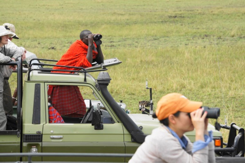 Hoje, já existem muitos Masai que se profissionalizaram em turismo e em outras atividades compatíveis com o desenvolvimento sustentável.