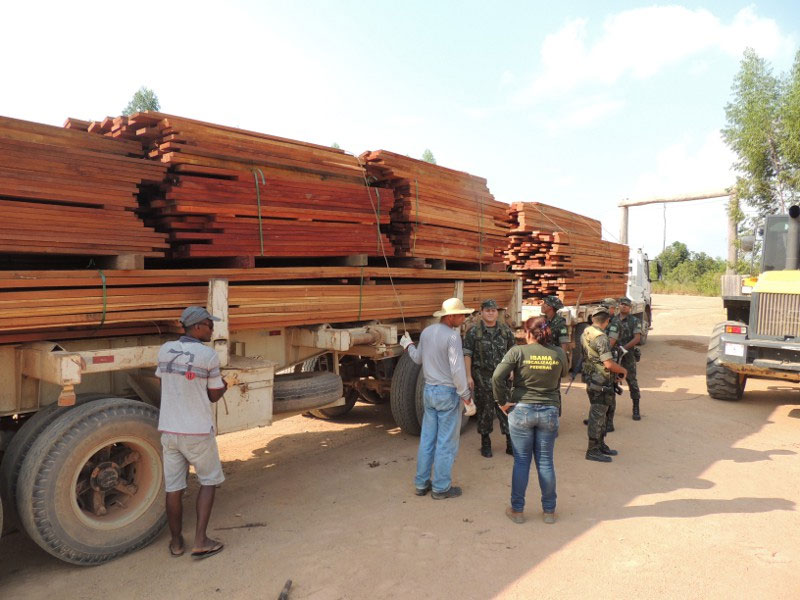 Ibama apreende mais de 5,3 mil metros cúbicos de madeira ilegal em Rondônia. Foto: Badaró Ferrari/Ascom/Ibama.