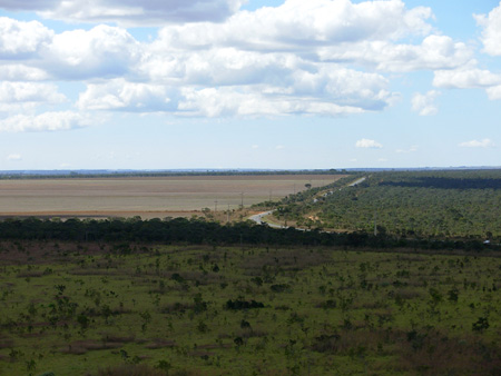 Fazenda de soja lado a lado com Cerrado em Planaltina (Goiás). (foto: Gustavo Faleiros)