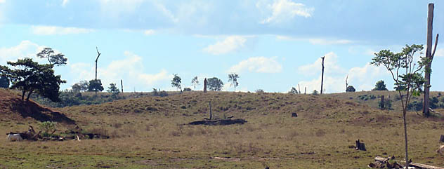 Fazenda desmatada em Juína, Mato Grosso. (foto: Andreia Fanzeres)