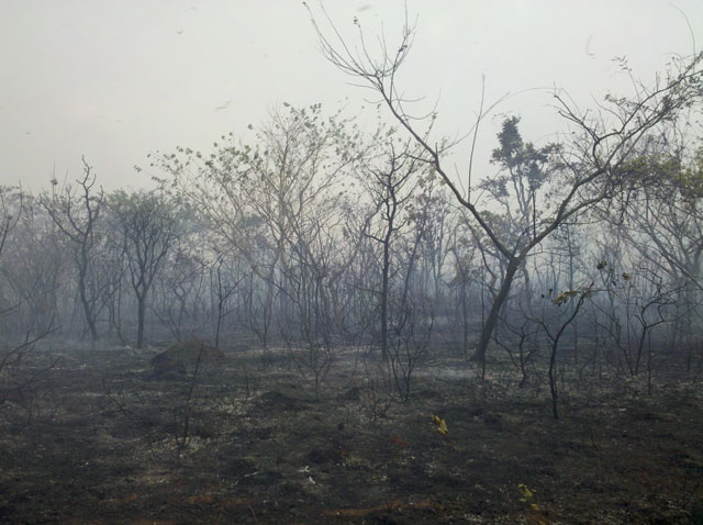 Fogo consumiu área de mais de 4 quilômetros de Cerrado no  terreno adjacente ao Palácio do Jaburu. Fumaça podia ser vista da  Esplanada dos Ministérios. Foto: Nathália Clark
