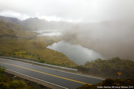 Desde a estrada podemos observar o sistema lacustre Atillo, formado por várias lagoas que são parte do Parque Nacional Sangay. Crédito: Rubén Ramírez, Finding Species