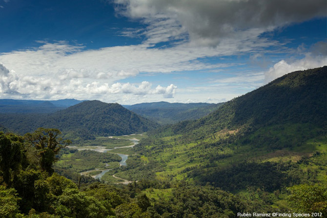 Os rios mais importantes da região de Morona Santiago são o Upano e o Palora, que se estendem através de exuberantes vales. Crédito: Rubén Ramírez, Finding Species