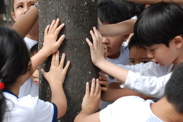 Crianças urbanas também gostam de árvores. Foto: Divulgação