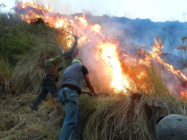 O fogo já arrasou cerca de 9.000 hectares no país, disse a Ministra de Ambiente do Equador. Crédito: Ministério Ambiente Equador