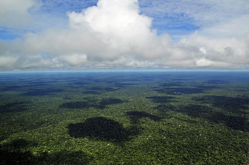 O país com a maior floresta tropical do planeta não tem dificuldades em entender o que significa biodiversidade. Foto: wikimédia.