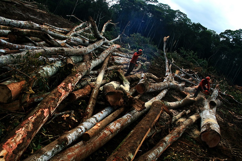 Desmatamento no canteiro de obras da Usina de Santo Antônio, em Rondônia. Foto: