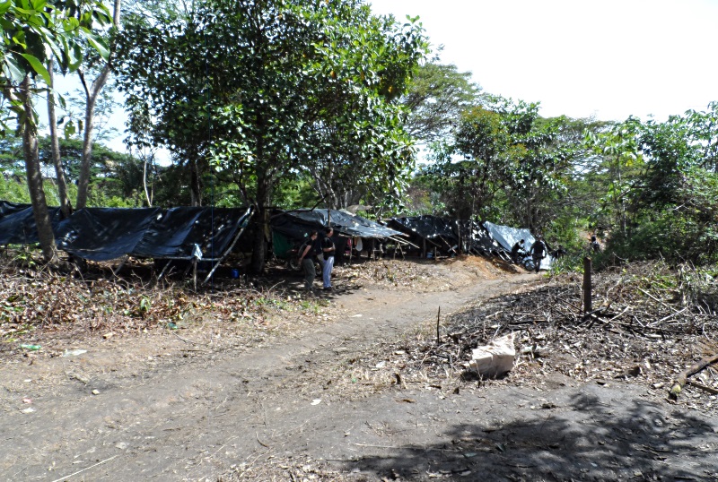 Acampamentos provisórios de invasores dentro da Floresta Nacional. Os acampamentos foram destruídos durante operação de retirada de novos ocupantes. Foto: divulgação.