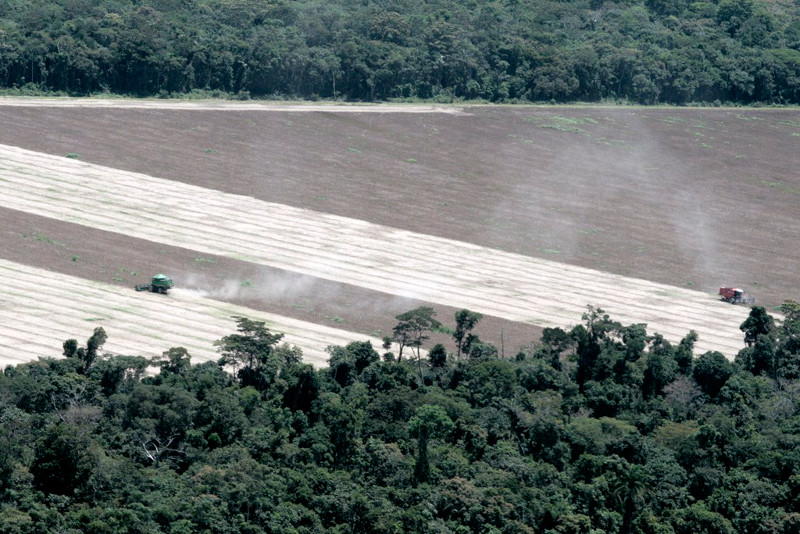 Operação Commodities, do Ibama, monitora o descumprimento de embargo de áreas desmatadas ilegalmente no Mato Grosso. Foto: Nicélio Silva/Ascom Ibama.