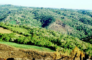 Desmatamento registrado no Vale do Rio Costa Carvalho no ano de 2001. (Foto: Germano Woehl Jr.)