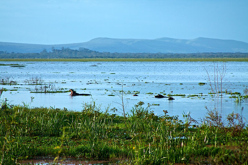 Lago Naivasha. Fonte: