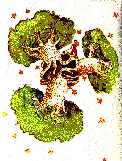 Baobás do Pequeno Príncipe. Fonte:
