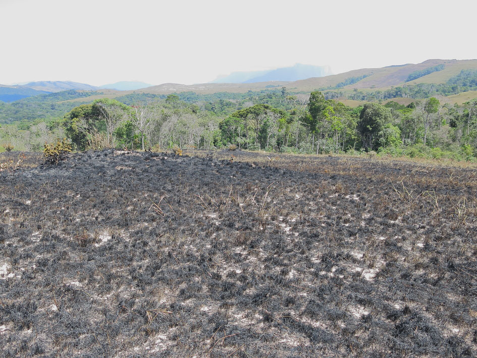 Passamos por muitos trechos de savana que foram queimados dentro do parque nacional, uma tradição muito arraigada entre os Pemón.