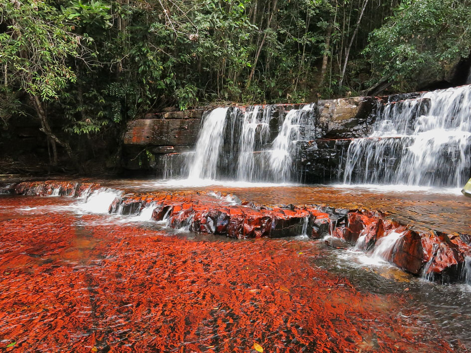 Bônus geológico: Kako Paru, um rio que corre sobre um afloramento de jaspe vermelho. Foto: Fábio Olmos