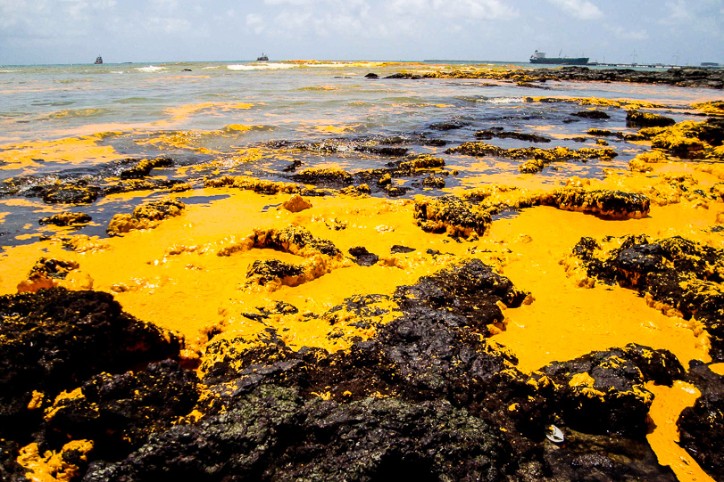 Apesar do óleo de palma ser biodegradável, ele é perigoso para os organismos marinhos, pois pode provocar a morte por recobrimento e consequente asfixia. Foto: Ascom Ibama.