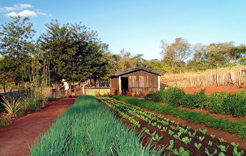Apenas 13% dos imóveis rurais do país conseguiram se cadastrar no Cadastro Ambiental Rural. Foto: Wikipédia.