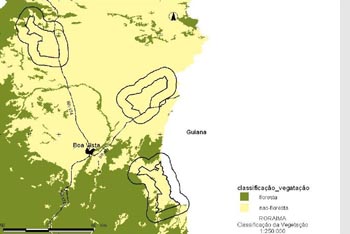 Diferenciação da vegetação em formações florestais nas áreas pretendidas para criação de uma unidade de conservação no Lavrado.