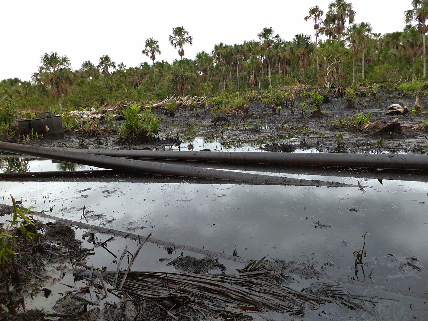 Vista da área contaminada por petróleo e desmatada. Crédito: ACODECOSPAT