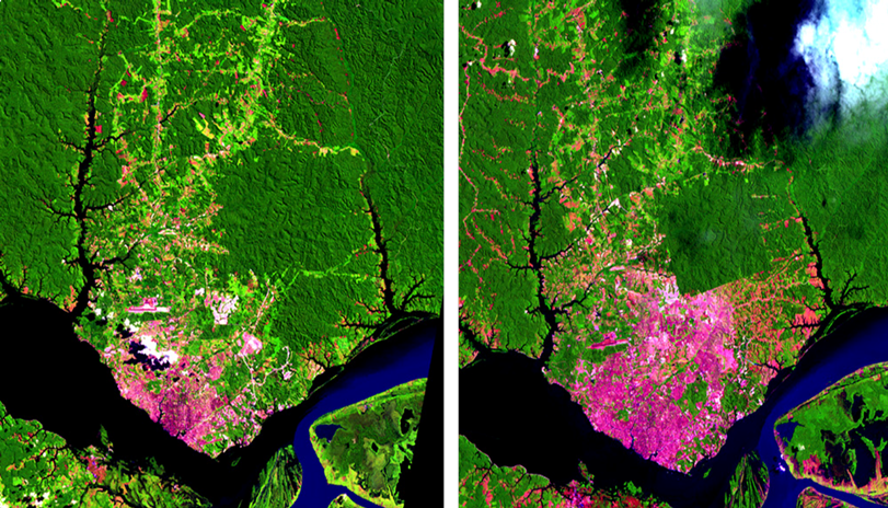O crescimento de Manaus e a R.Ducke. À esquerda, o ano de 1985. À direita, 1999.