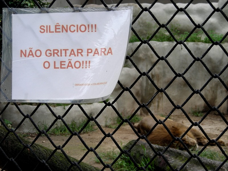 Improviso na jaula do leão, zoológico do Rio de Janeiro. Foto: Hernán Magllone
