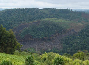 Desmatamento nas cabeceiras do Rio Itajaí, na localidade Serrinha do Itajaí, em Itaiópolis (SC). (Foto: Germano Woehl Jr.)