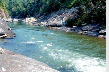 O autor, Germano Woehl Jr., nadando no rio Itajaí, na localidade Barra da Prata, em Itaiópolis (SC). Foto de 09/05/1993. Reencontro com o rio depois de vários anos.
