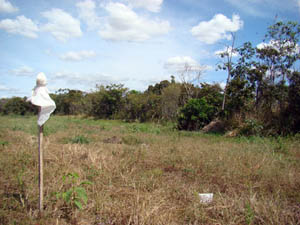 Isolamento para recuperação de área de preservação permanente em Lucas do Rio Verde/MT. (Foto: Andreia Fanzeres)