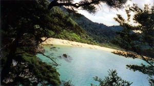 Praias, por vezes desertas, são uma recompensa durante qualquer um dos passeios escolhidos no Abel Tasman. (Foto: Ana Leonor)