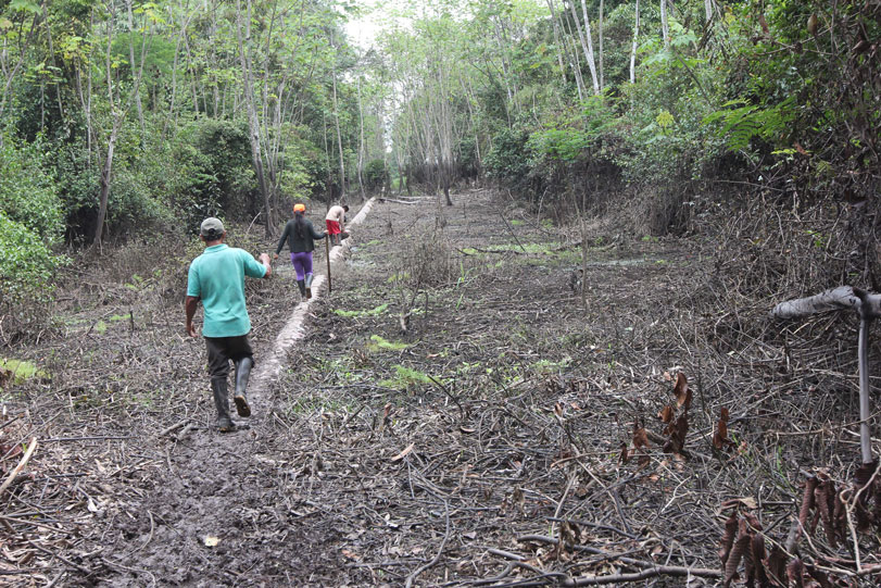 Líderes comunitários Kukama caminham ao longo do gasoduto através de uma área pantanosa. Foto: Barbara Fraser