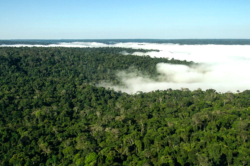 Amazônia. Foto: