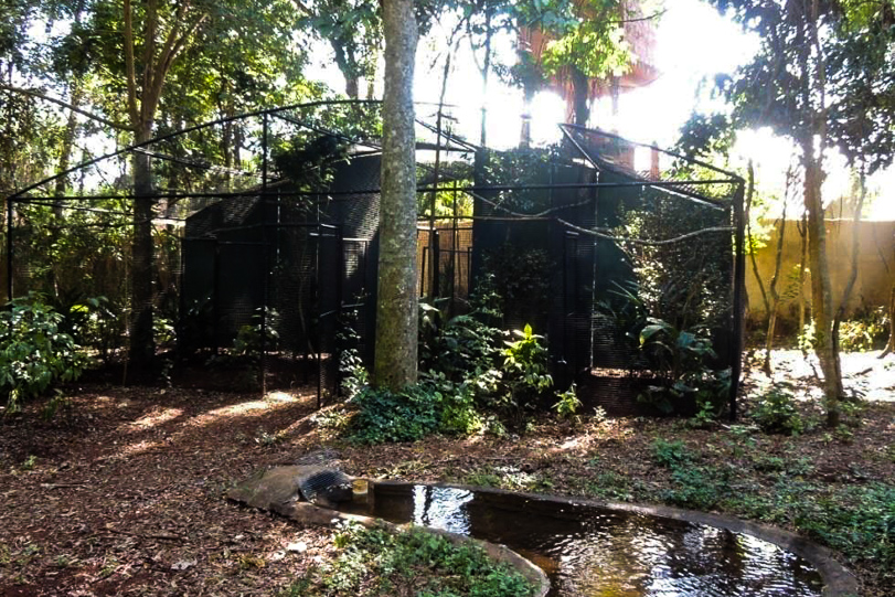 Bloco com 4 recintos de reprodução no Parque das Aves.
