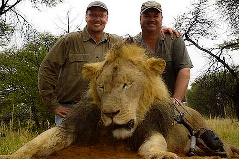 O dentista Walter Palmer posa junto a um leão abatido em outra caçada. Ele é acusado de ter pago 50 mil dólares para abater o leão Cecil. Foto: Facebook