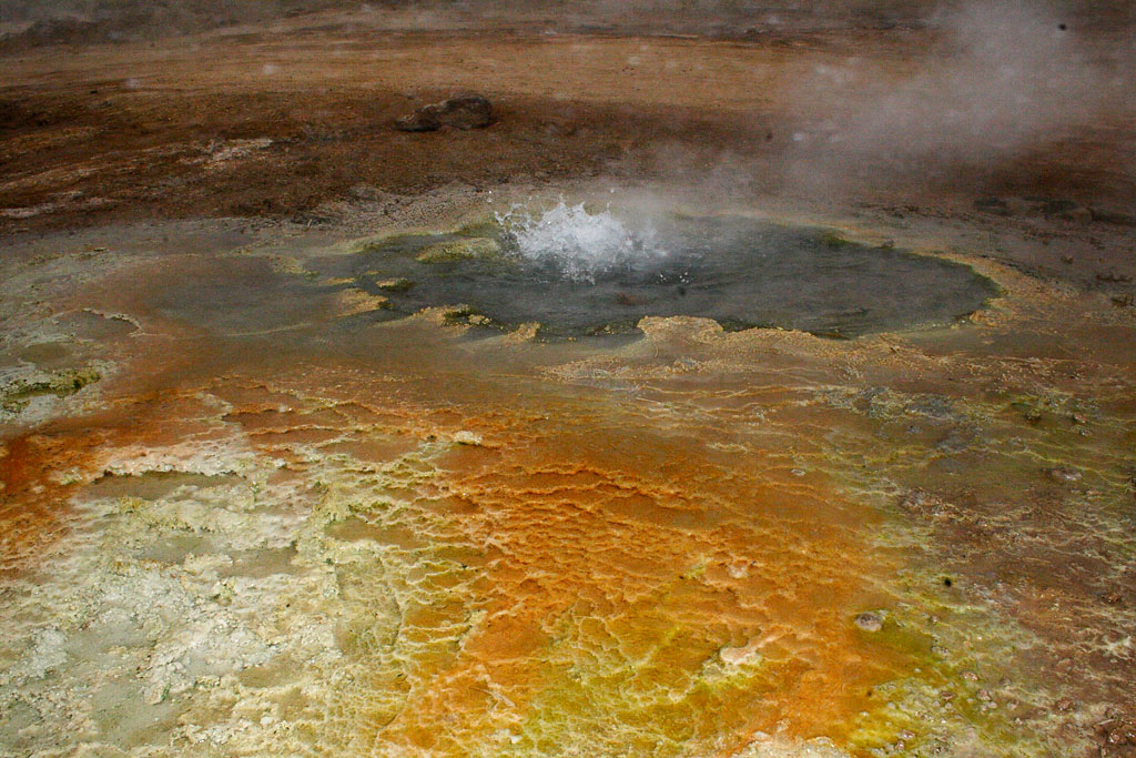 Bactérias e Archaea colorem a água fervente e carregada de minerais que sai de um dos geisers em El Tatio, Chile. Foto: Fabio Olmos