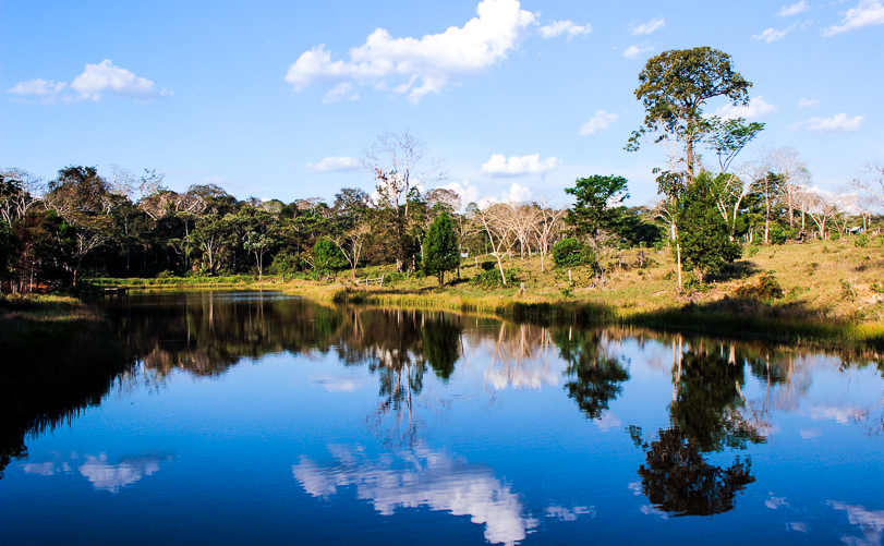 Manter a floresta em pé também beneficia a saúde humana. Acima, Seringal Cachoeira, Xapuri, AC. Foto: Nanda Melonio