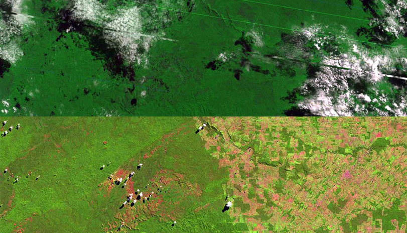 Comparação do desmatamento em Rondônia. Foto: Satélite