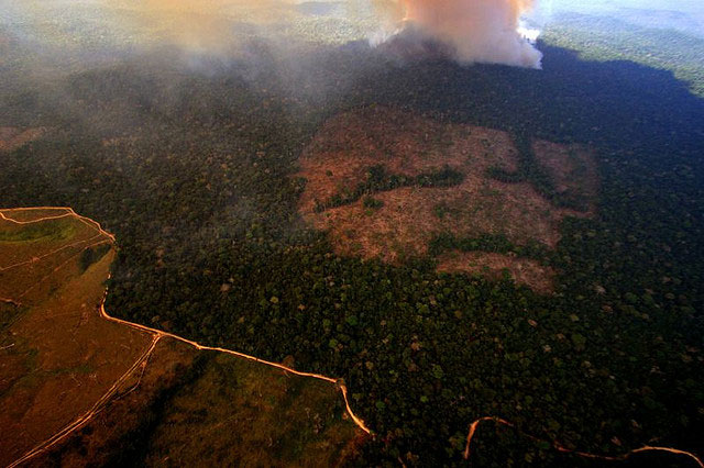 Brasil quer transferir tecnologia de monitoração do desmatamento. Foto: Leonardo F. Freitas