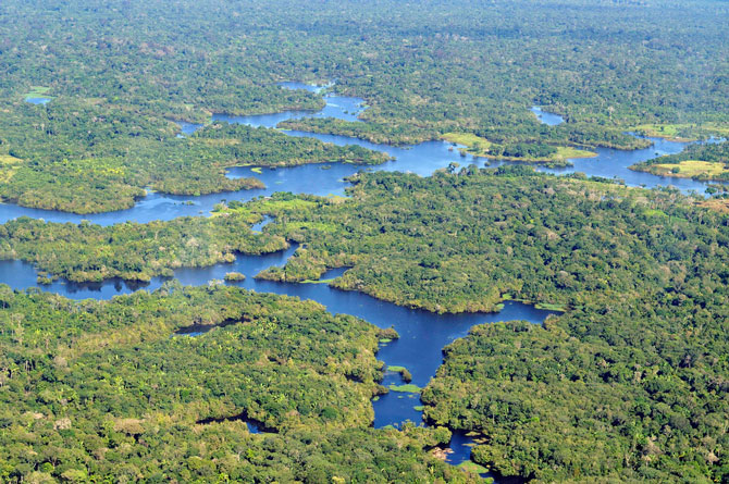 Visão aérea da floresta amazônica, próximo à Manaus, no Brasil. Foto: Neil Palmer/International Center for Tropical Agriculture (CIAT)