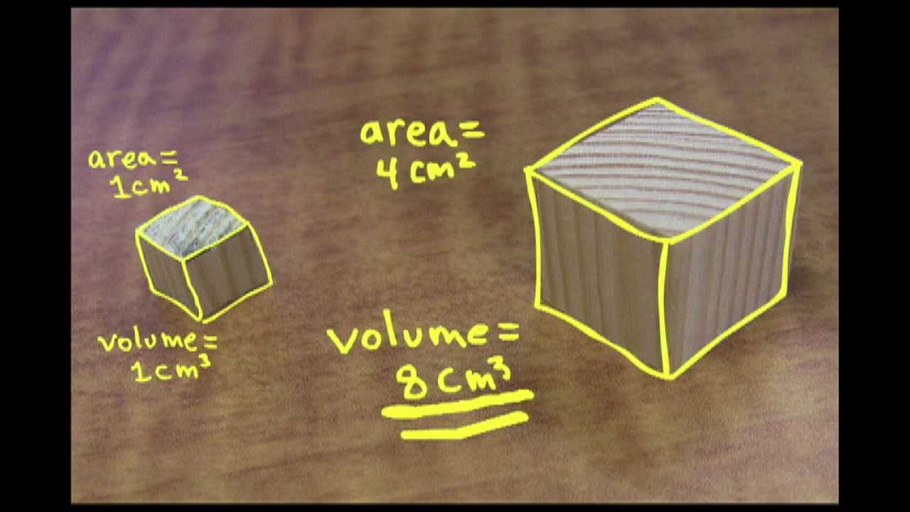 Figura 2. Princípio do volume X área. Fonte: